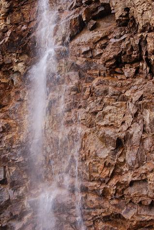 DSC_1598-wbtn.jpg
